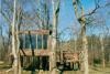 Tree House in Fall